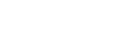 Salent Commerce